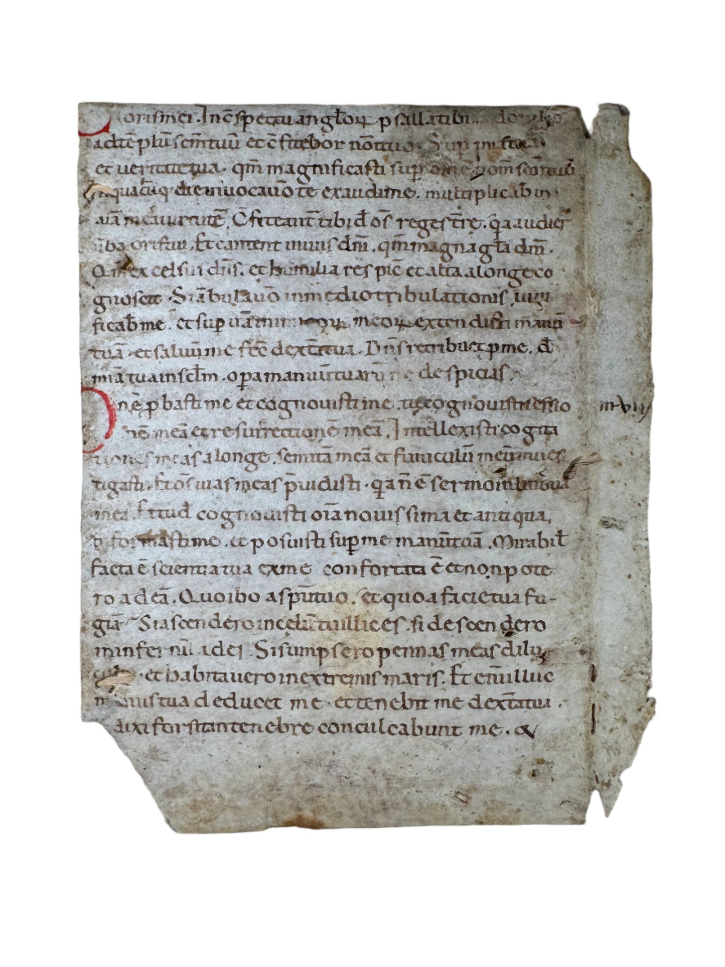 12th-Century Latin Psalter Leaf – Italy, c. 1150 – Early Gothic Script