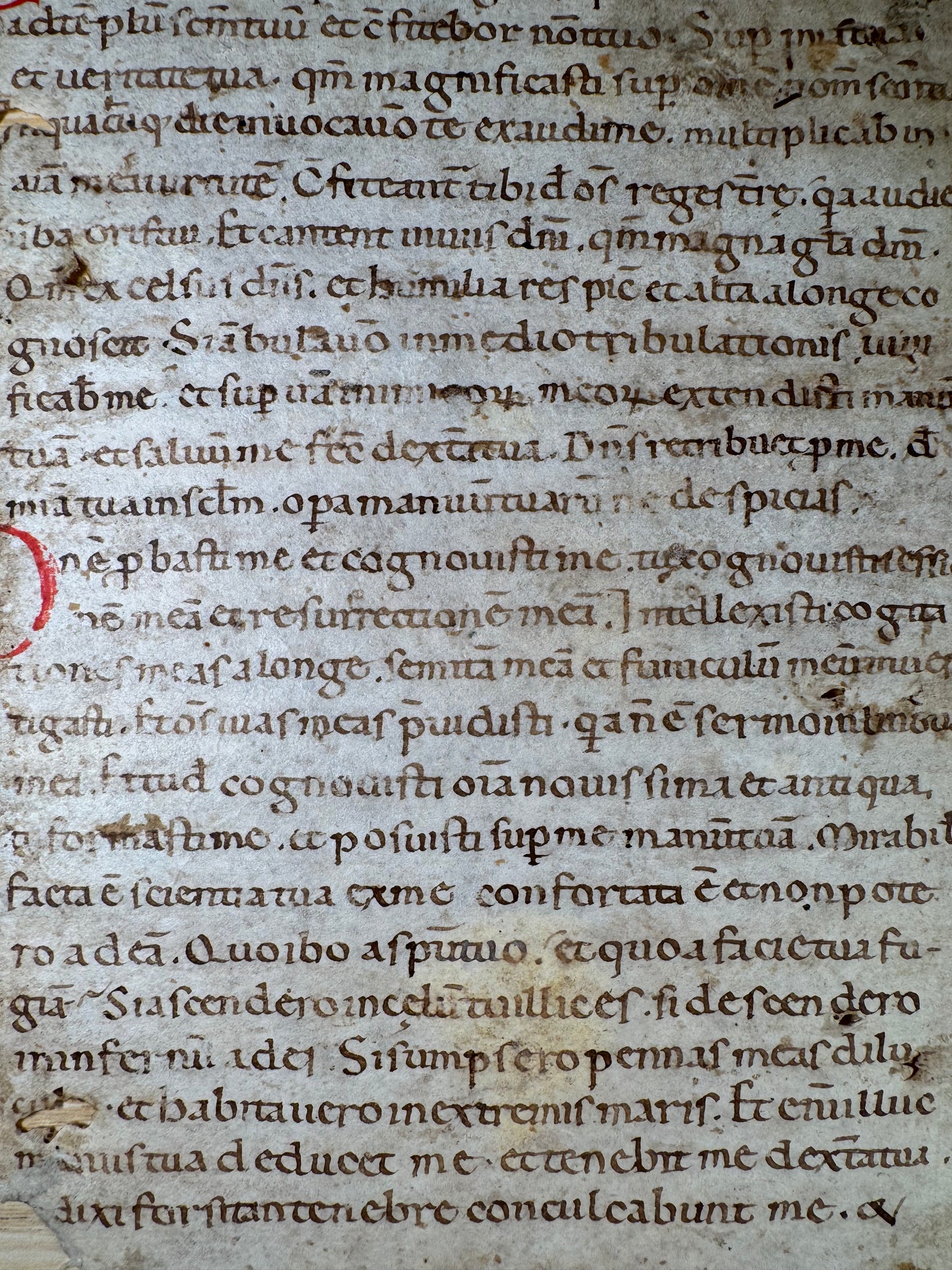 12th-Century Latin Psalter Leaf – Italy, c. 1150 – Early Gothic Script